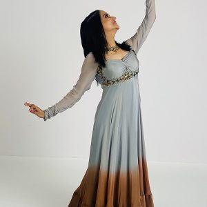 Blue Hand Embroired Anarkali